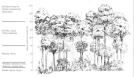 bosque