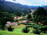 selva