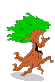 &aacute;rbol
