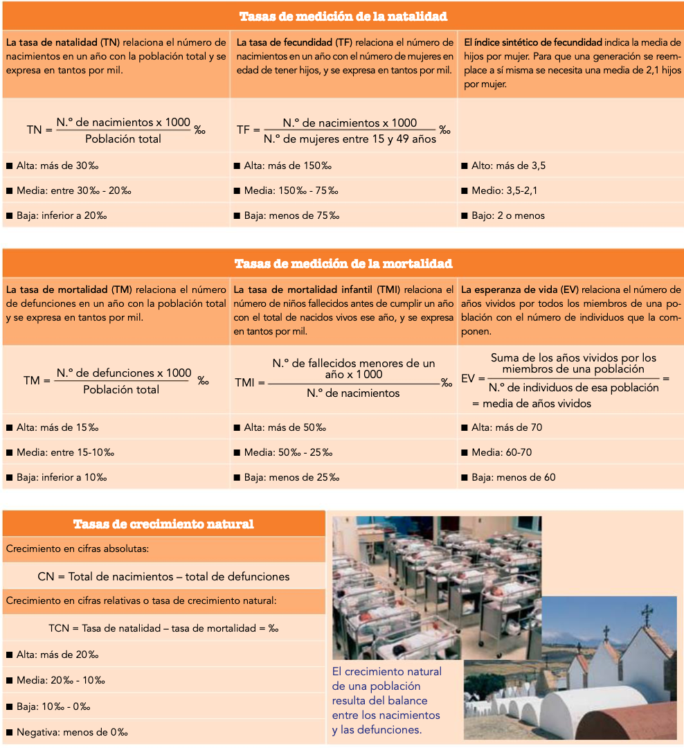 imagen 14
